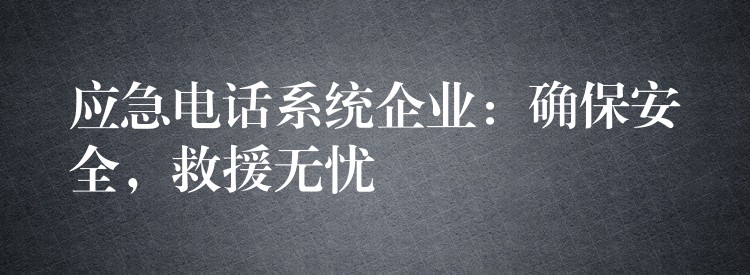 應(yīng)急電話系統(tǒng)企業(yè)：確保安全，救援無憂