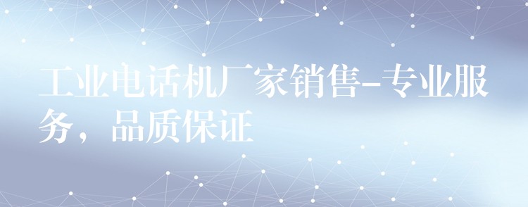  工業(yè)電話機(jī)廠家銷售-專業(yè)服務(wù)，品質(zhì)保證