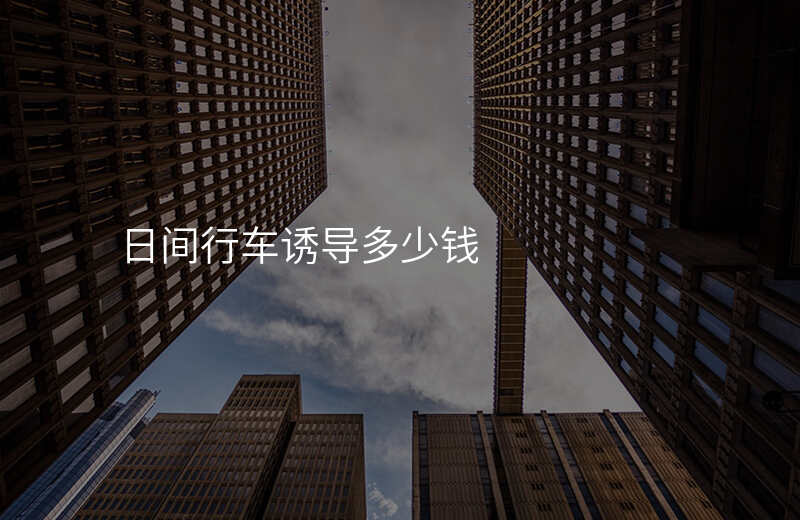  日間行車誘導多少錢